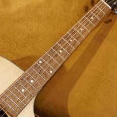 Eastman PCH-GACE_4