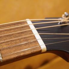Eastman PCH-GACE_5