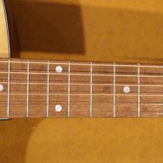 Eastman PCH-GACE_8