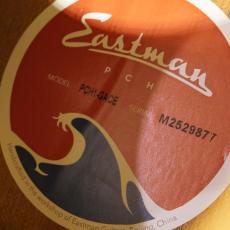 Eastman PCH-GACE_9