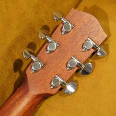 Eastman PCH-GACE_14