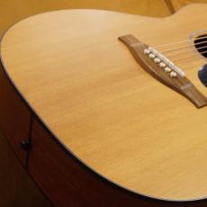 Eastman PCH1-OM_2