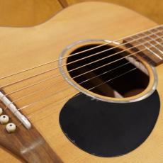 Eastman PCH1-OM_3