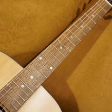 Eastman PCH1-OM_4