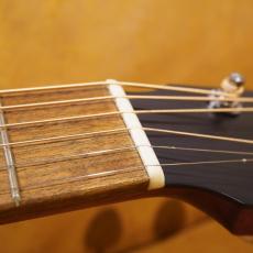 Eastman PCH1-OM_5