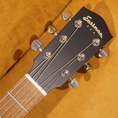 Eastman PCH1-OM_6