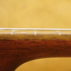 Eastman PCH1-OM_7