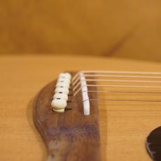 Eastman PCH1-OM_9