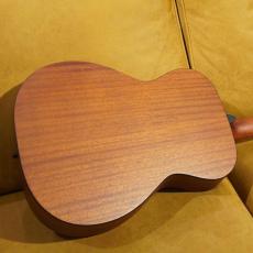 Eastman PCH1-OM_10