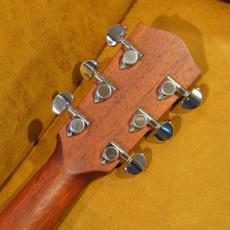 Eastman PCH1-OM_12