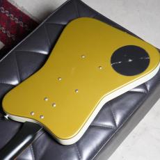 Danelectro Dano Pro Reissue Gold_5