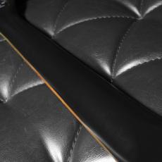 Danelectro Dano Pro Reissue Gold_7