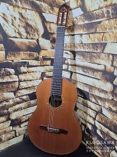 Christopher Carrington クリストファー・キャリントン 2003年製 杉・中南米ローズ【日本総本店2F 在庫品】_2