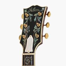 Gibson Hummingbird Ultima -Autumn Burst #23544017_7