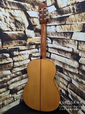 VICENTE CARRILLO ビセンテ・カリージョ 2002年製 Paco de Lucia  パコ・デ・ルシア フラメンコ 白【日本総本店2F 在庫品】_7