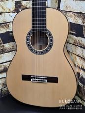 Conde Hermanos [コンデ・エルマノス] ギターラス・コンデ Guitarras Conde 2025年製 Model:No.8 Blanca 松・シープレス【日本総本店2F 在庫品】