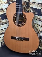 Jose Ramirez [ホセ・ラミレス] 2025年製 Model:ESTUDIO 140CWE エレガット 杉 C【日本総本店2F 在庫品】