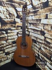 Cordoba コルドバ Dolce ドルチェ 630mm【日本総本店2F 在庫品】