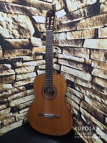 Cordoba コルドバ Dolce ドルチェ 630mm【日本総本店2F 在庫品】