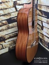 Cordoba コルドバ Dolce ドルチェ 630mm【日本総本店2F 在庫品】_9
