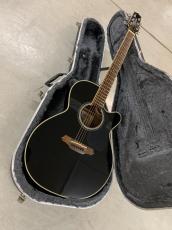 Takamine DMP-561C BL  CT4-DXピックアップ搭載!
