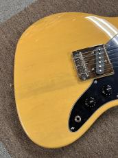 Bacchus WINDY-BREAKER/RSM BBD_4