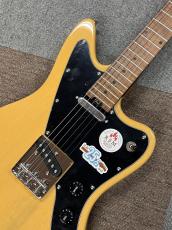 Bacchus WINDY-BREAKER/RSM BBD_5