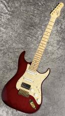 Addictone Custom Guitars Custom Order ST-Model SSH【3.38kg】_4
