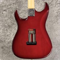 Addictone Custom Guitars Custom Order ST-Model SSH【3.38kg】_7