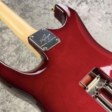 Addictone Custom Guitars Custom Order ST-Model SSH【3.38kg】_9