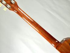 Tokai LS-201 -Gold Top-【4.26kg】 2025年 新品 1469887 Tokai