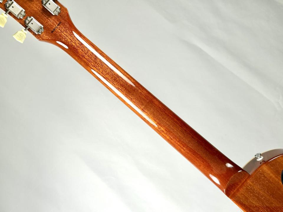 Tokai LS-201 -Gold Top-【4.26kg】 2025年 新品 1469887 Tokai