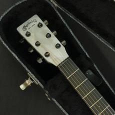 Martin ALternative X【2012年製】_7