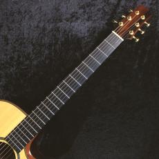 ASTURIAS 【中古美品】GRAND SOLO PREMIO SR 2015年製【透明感のある音色】_5