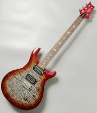 Paul Reed Smith [PRS] SE Custom 24 Charcoal Cherry Burst- #CTI H025531【担当者イチオシ個体‼】【極上フレイム個体】_2