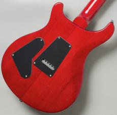 Paul Reed Smith [PRS] SE Custom 24 Charcoal Cherry Burst- #CTI H025531【担当者イチオシ個体‼】【極上フレイム個体】_8
