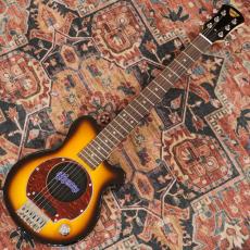 Pignose PGG-200 BS(Brown Sunburst)_2