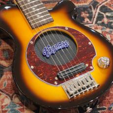 Pignose PGG-200 BS(Brown Sunburst)_3