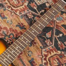 Pignose PGG-200 BS(Brown Sunburst)_5