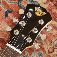 Pignose PGG-200 BS(Brown Sunburst)_6