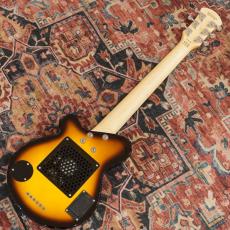 Pignose PGG-200 BS(Brown Sunburst)_8
