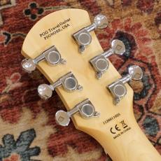 Pignose PGG-200 BS(Brown Sunburst)_9