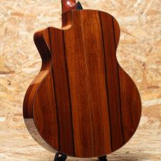 Jeff Sigurdson MJV Madagascar Rosewood 2006_2