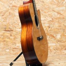 Jeff Sigurdson MJV Madagascar Rosewood 2006_4