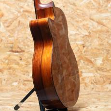 Jeff Sigurdson MJV Madagascar Rosewood 2006_5