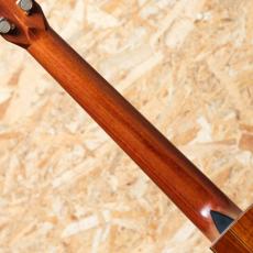 Jeff Sigurdson MJV Madagascar Rosewood 2006_7