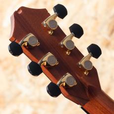 Jeff Sigurdson MJV Madagascar Rosewood 2006_9