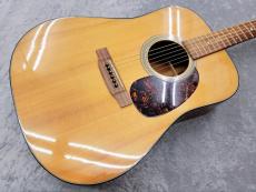 Martin D-18 CUSTOM 2001_2