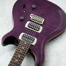 Paul Reed Smith [PRS] SE Custom 24 Amethyst 【3.54kg】【2026年製】_5