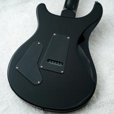 Paul Reed Smith [PRS] SE Custom 24 Amethyst 【3.54kg】【2026年製】_10